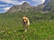MONTI VINDIOLO e VETRO ad anello da Zorzone-Pian Bracca in VAL VEDRA il 12 giugno 2022 - FOTOGALLERY
